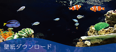 壁紙ダウンロード｜芙蓉総合リース株式会社